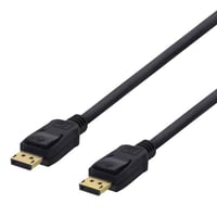 DisplayPort