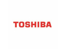 Toner Toshiba 6AJ00000207 gul