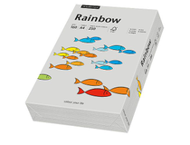 Papper Rainbow A4 160g grå 250st/paket