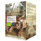 Te LIFE BY FOLLIS Mint tryffel 20st/fp