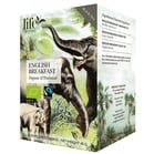 Te LIFE BY FOLLIS English Breakfast Eko 20st/fp