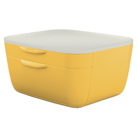 Förvaringsbox