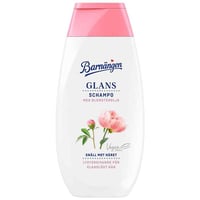 Schampo