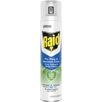 Raid