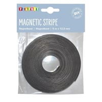Magnetband
