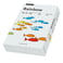 Papper Rainbow A4 160g ljusgrå 250st/paket