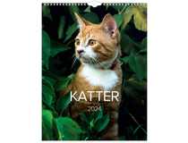 Djurkalender Katt 2023