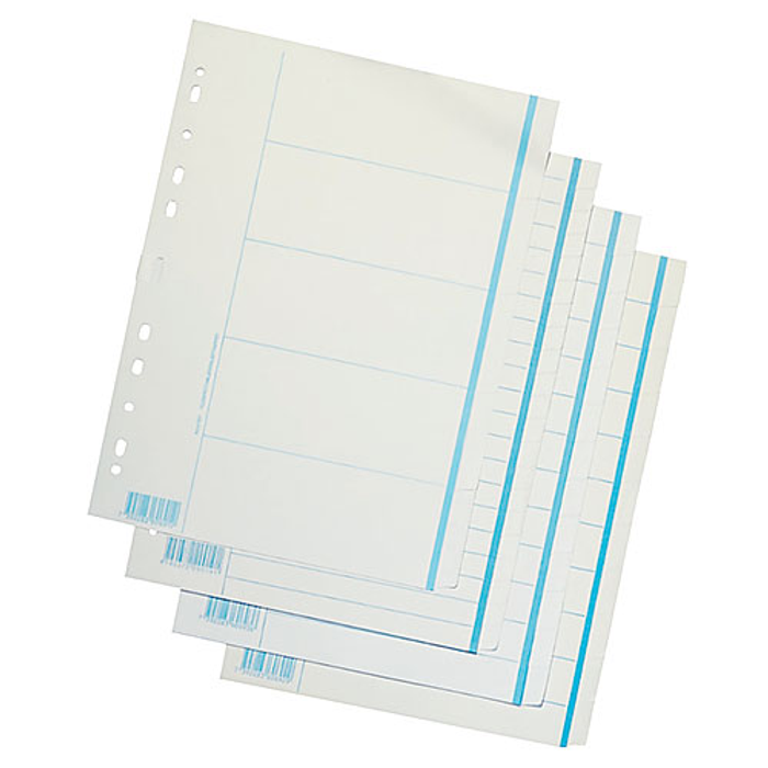 Pärmregister papper A4 10 flikar otryckta 10st/fp