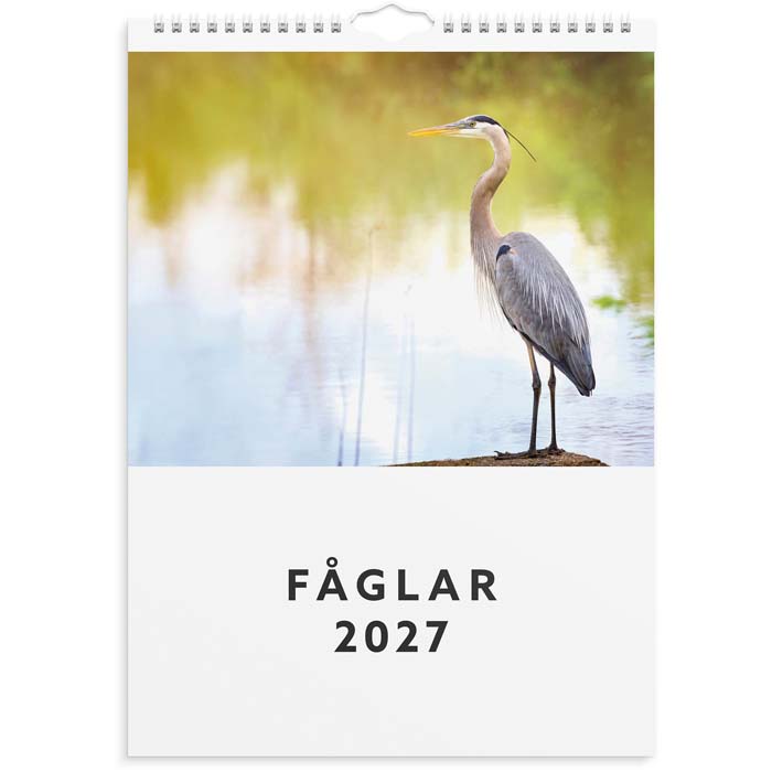 Almanacka Väggkalender Fåglar 2027